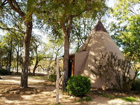 5 Yellow Flower - Tipis on the Guadalupe Accommodation Dallas