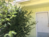 Almost home  Reasons family guest home Accommodation Dallas