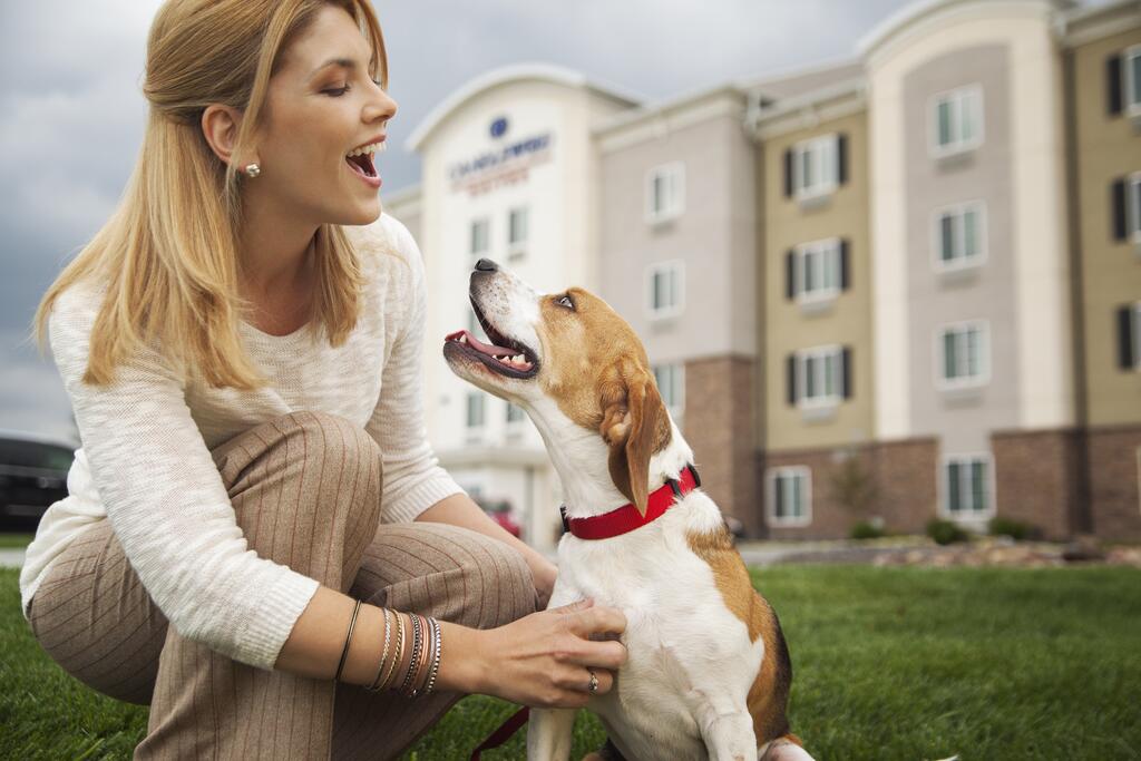 Candlewood Suites Dallas North - Richardson - thumb 1