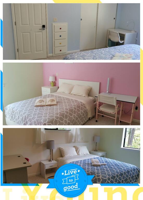 City Garden3 Rooms - thumb 3