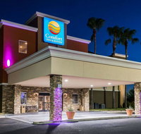 Comfort Inn  Suites Pharr/McAllen - Accommodation Dallas