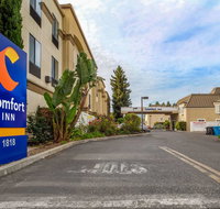Comfort Inn Redwood City - Accommodation Dallas