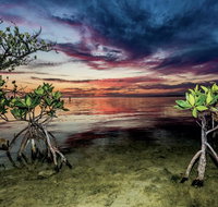 Conch Key Fishing Lodge  Marina - Accommodation Dallas