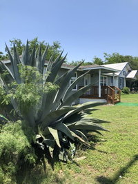 Downtown Contemporary yet Cozy Fun Accommodation Dallas