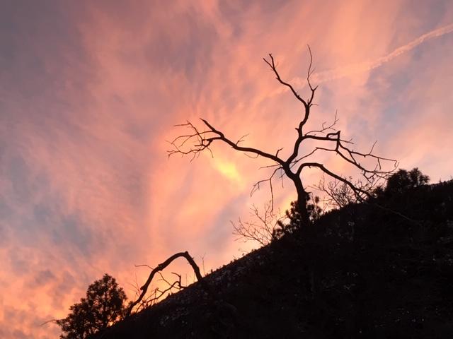 Elden Trails Bed And Breakfast - thumb 3