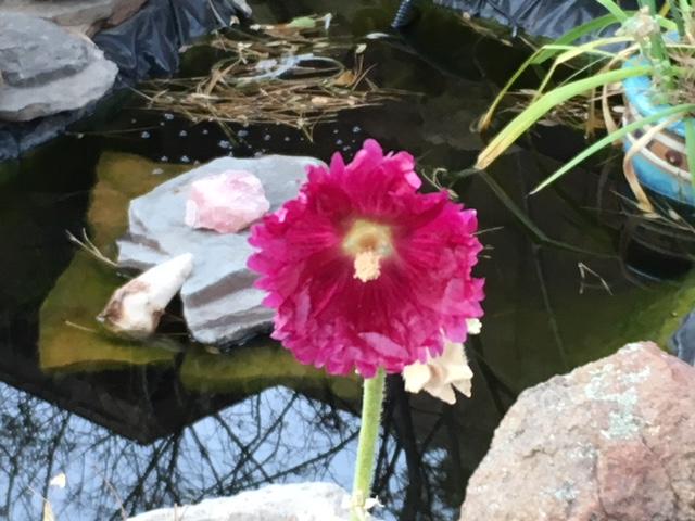 Elden Trails Bed And Breakfast - thumb 2