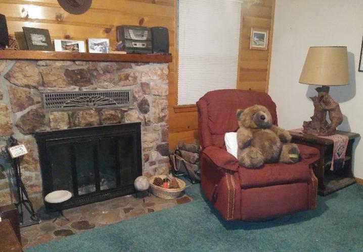 Evergreen Cabin - thumb 2