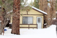 Family Bear Accommodation Dallas
