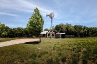 Francesca's Accommodation Dallas