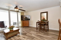 Gorgeous Oceanfront Emerald Beach Condo Accommodation Dallas