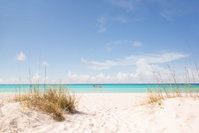Gorgeous Immaculate - Walk to Beach Accommodation Dallas