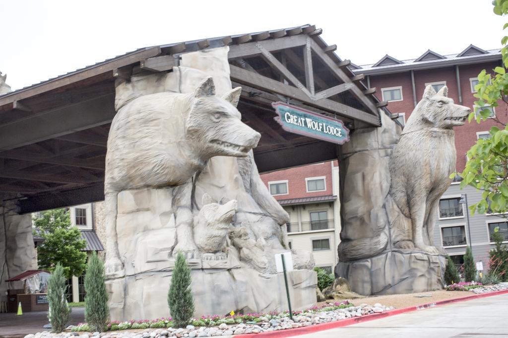 Great Wolf Lodge Grapevine - thumb 1