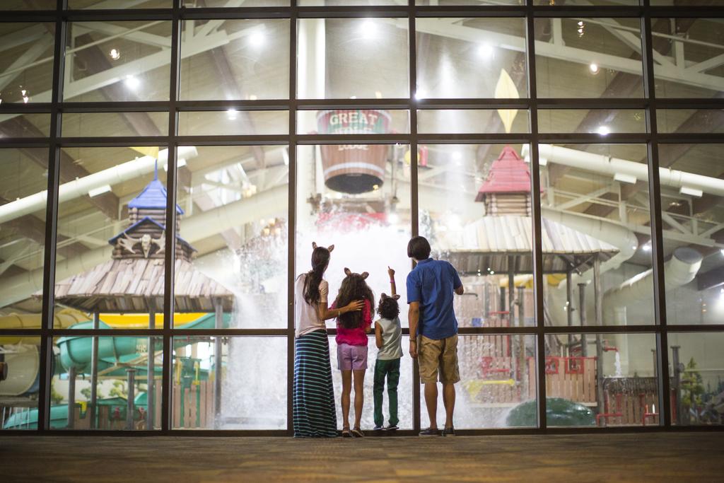 Great Wolf Lodge Grapevine - thumb 2