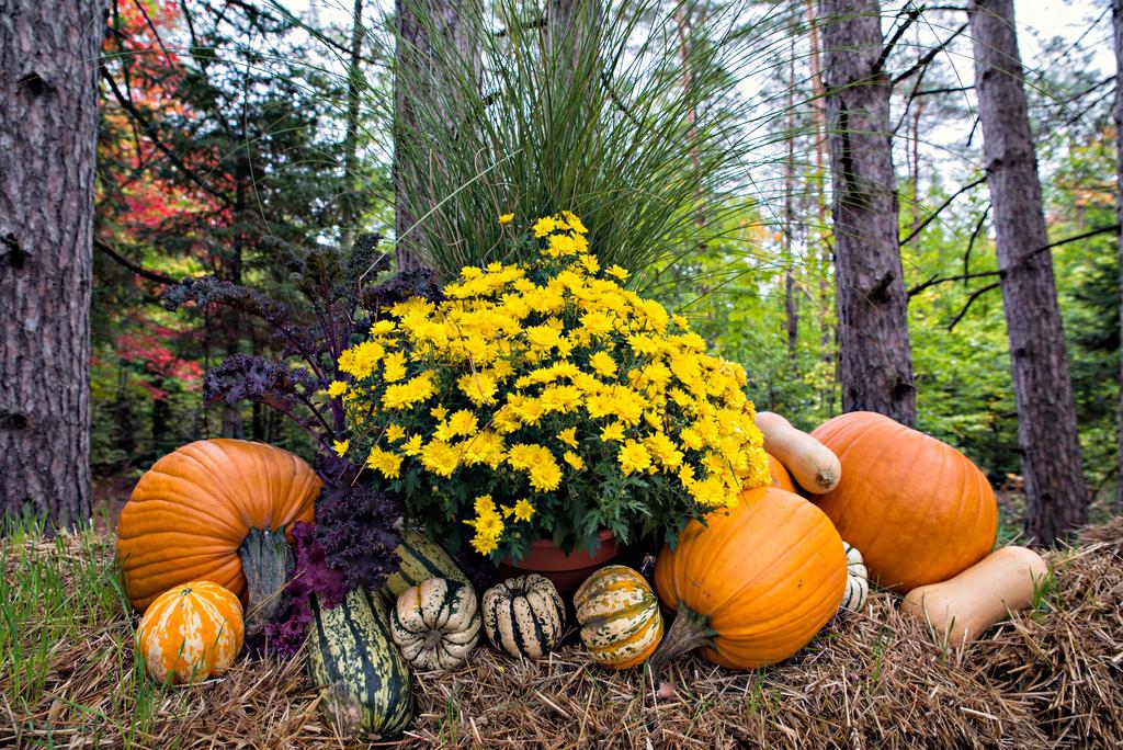 LAZY DAYS On The CREEK - thumb 0