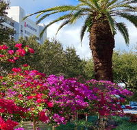 Palm Beach Gardens Marriott - Accommodation Dallas