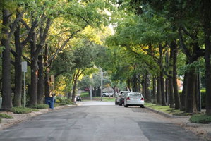 Relaxed Dallas Town House - On Katy Trail Near SMU
