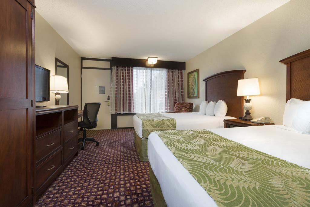 Rosen Inn International Near The Parks - thumb 0