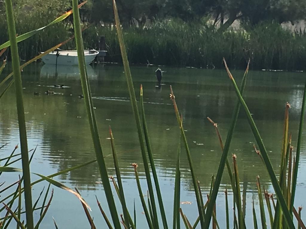 Shoshone RV Park - thumb 2