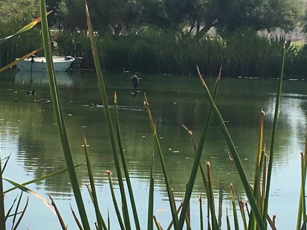 Shoshone RV Park - thumb 3