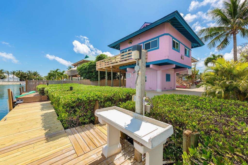 The Atlantic Lookout - thumb 0