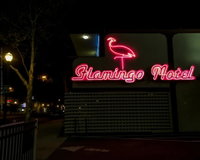 The Flamingo Motel Accommodation Dallas