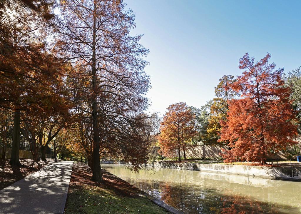 THE MADISON - San Antonio Riverwalk - Downtown - Convention Center - thumb 2
