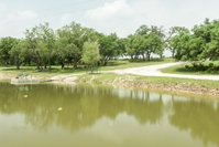 TimberRose Ranch and BB Accommodation Dallas