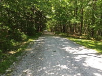 Tranquil 3BR Stockbridge House with Private Deck Accommodation Dallas