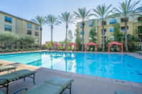 WanderJaunt - Luxe Mission Valley Apts Accommodation Dallas