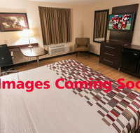 Red Roof Inn PLUS Tuscaloosa - University - Accommodation Dallas