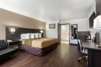 Booking Phoenix Accommodation Dallas