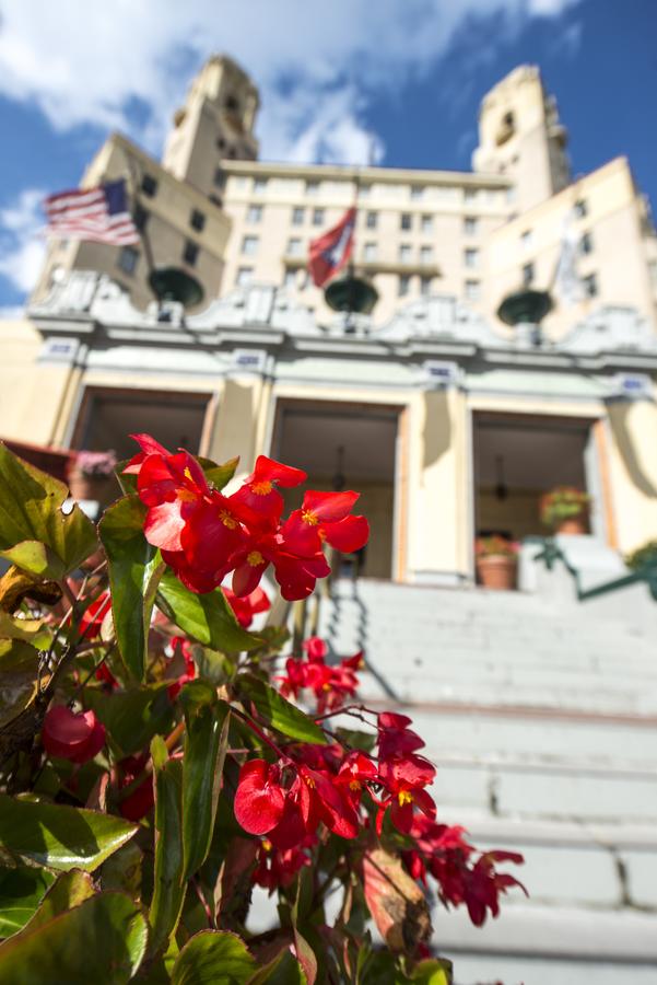 Arlington Resort Hotel & Spa - thumb 19