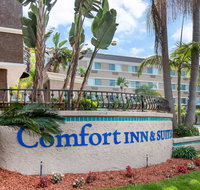 Comfort Inn  Suites San Diego Zoo SeaWorld Area - Accommodation Dallas