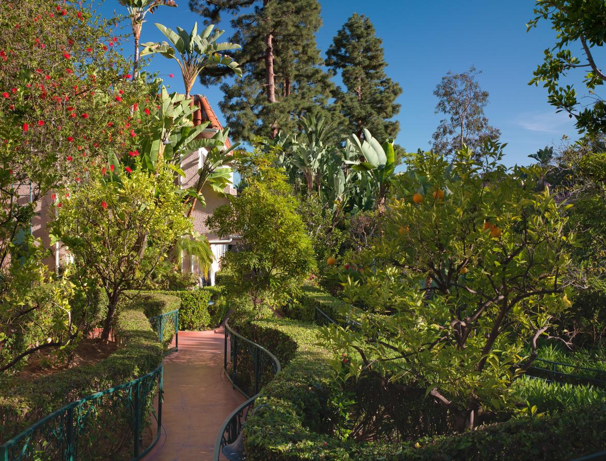 The Beverly Hills Hotel - Dorchester Collection - thumb 23