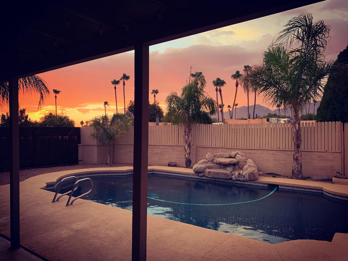 Oasis In The Palms - thumb 39