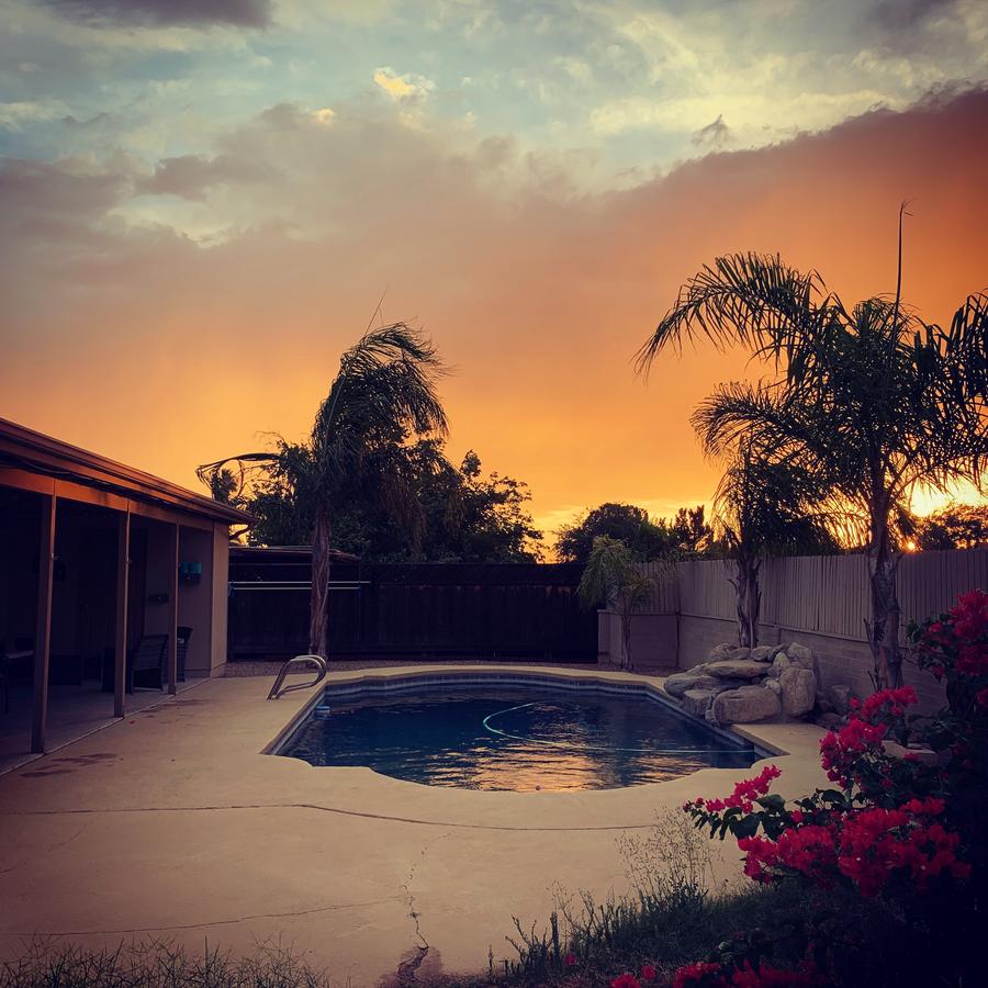 Oasis In The Palms - thumb 0