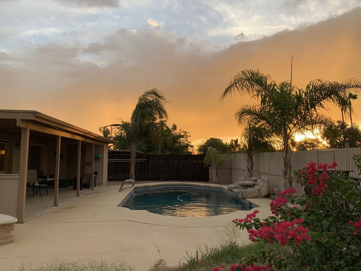 Oasis In The Palms - thumb 40