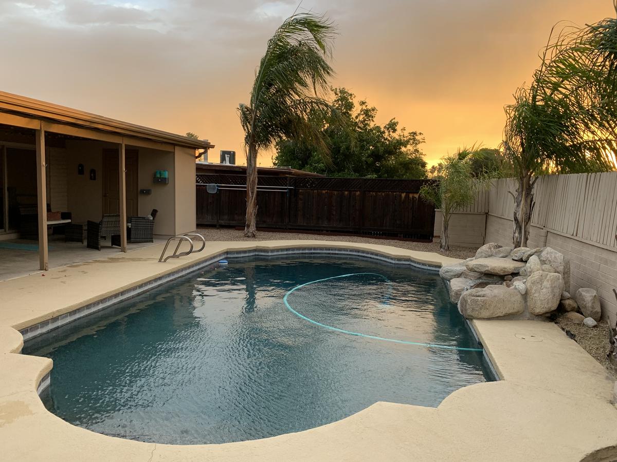 Oasis In The Palms - thumb 41