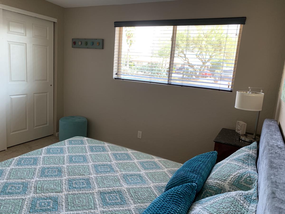 Oasis In The Palms - thumb 28