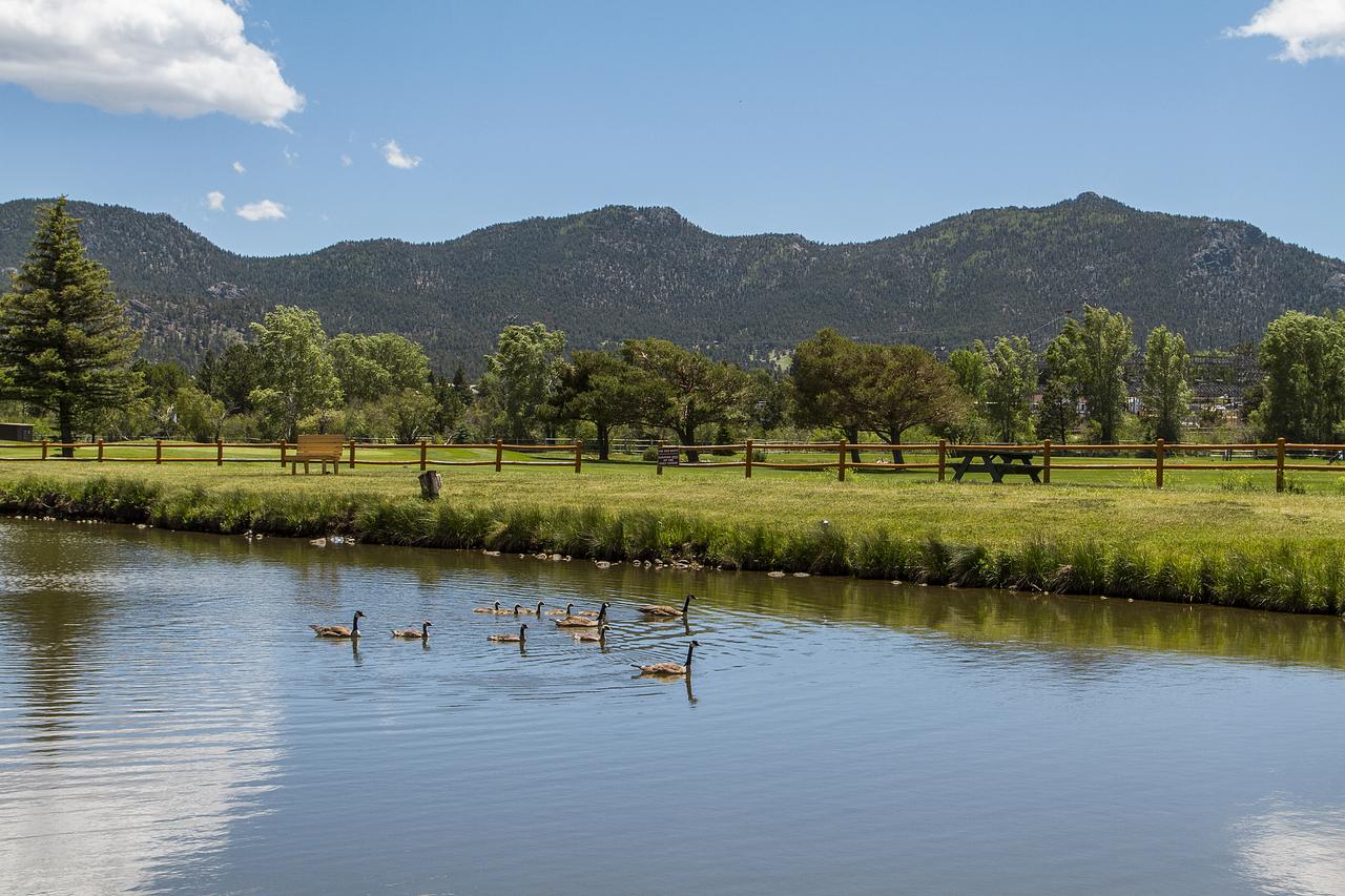 Discovery Lodge - thumb 25