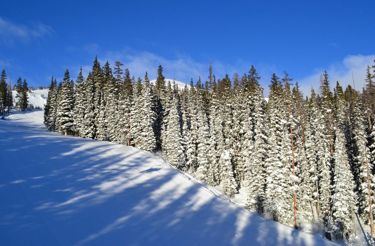 Eat, Sleep. Ski. Repeat! - thumb 3