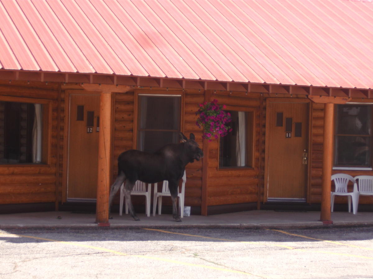 Lone Eagle Lodge - thumb 6