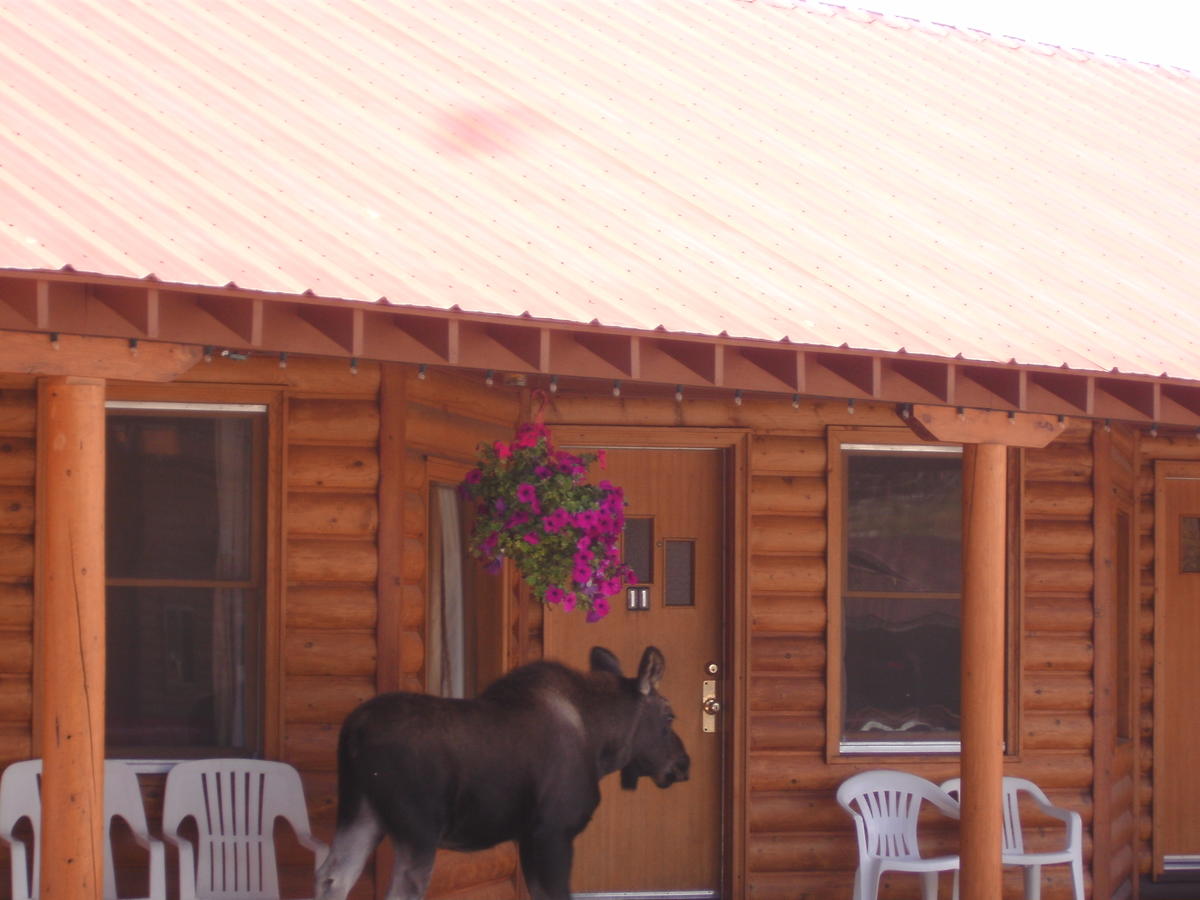 Lone Eagle Lodge - thumb 5