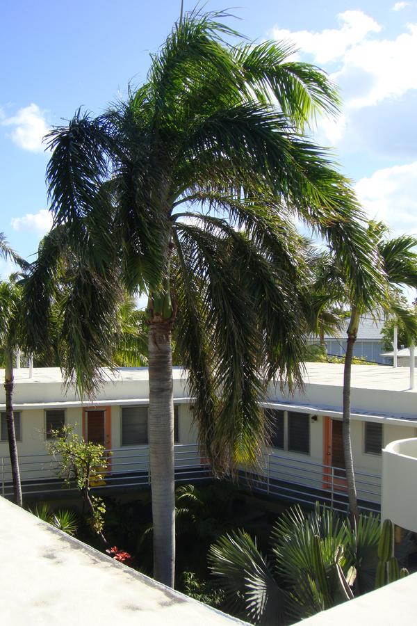 El Patio Motel - thumb 1