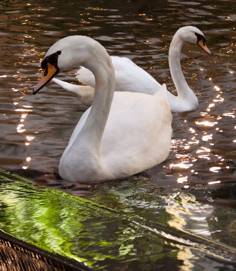 Embassy Suites Palm Beach Gardens - PGA Boulevard - thumb 40