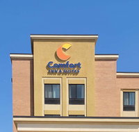 Comfort Inn  Suites - Accommodation Dallas