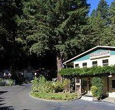 Fern Grove Cottages - Accommodation Dallas