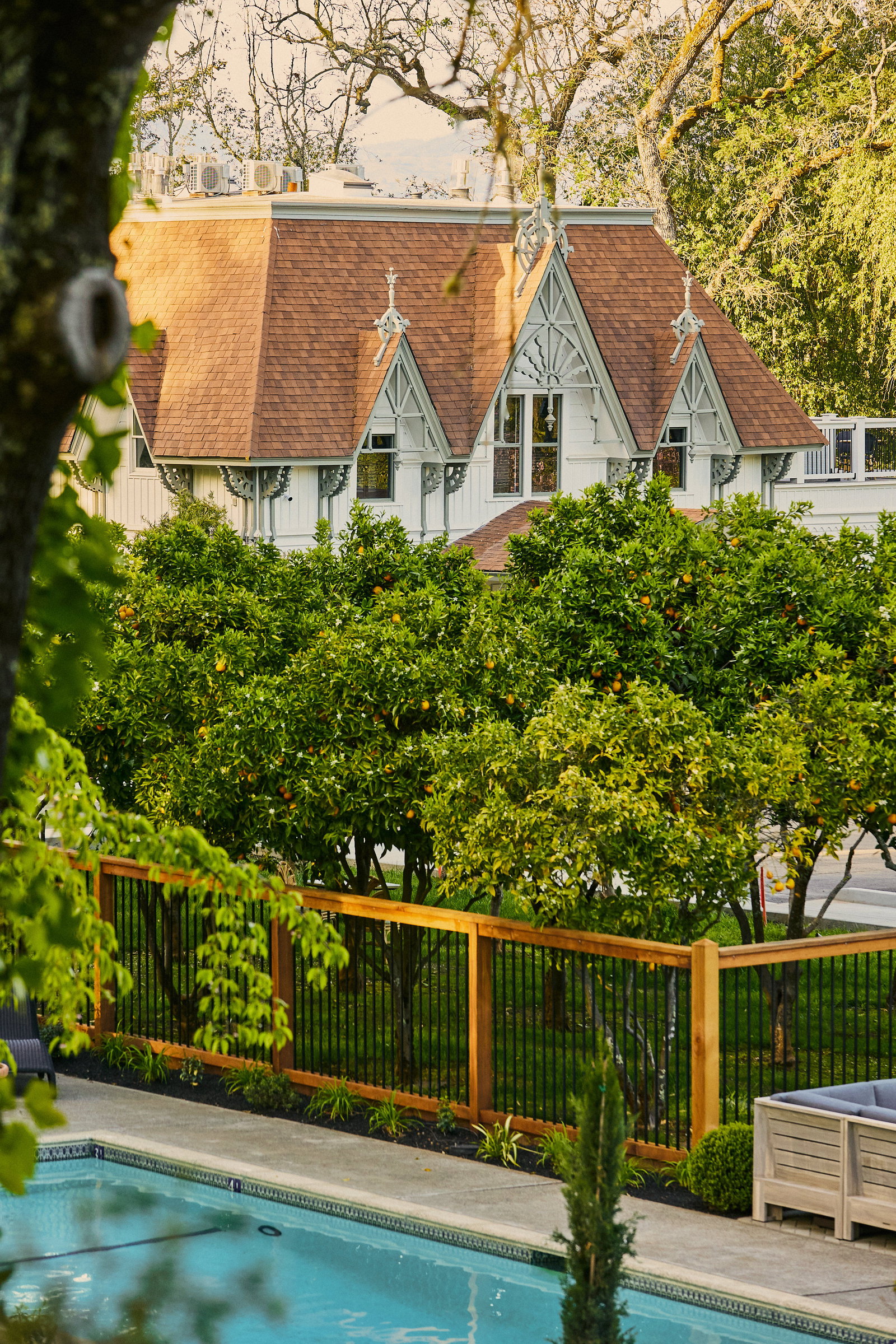 The Madrona - thumb 4