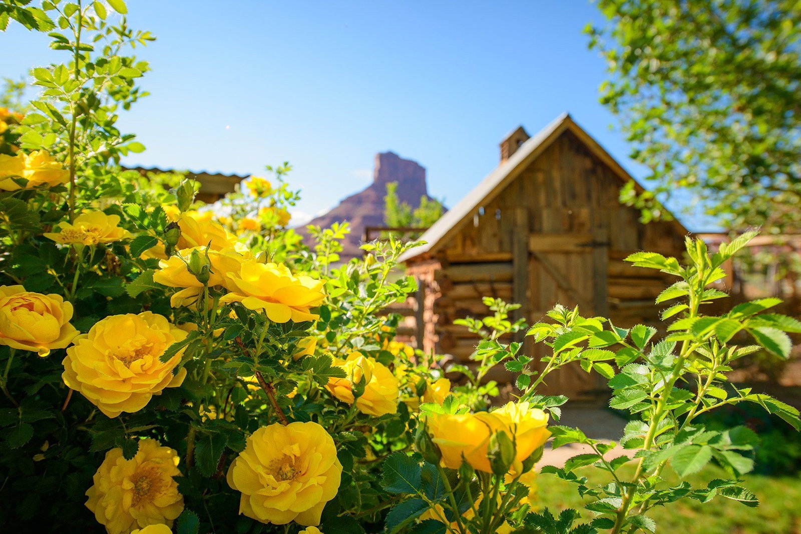 Sorrel River Ranch Resort & Spa - thumb 3