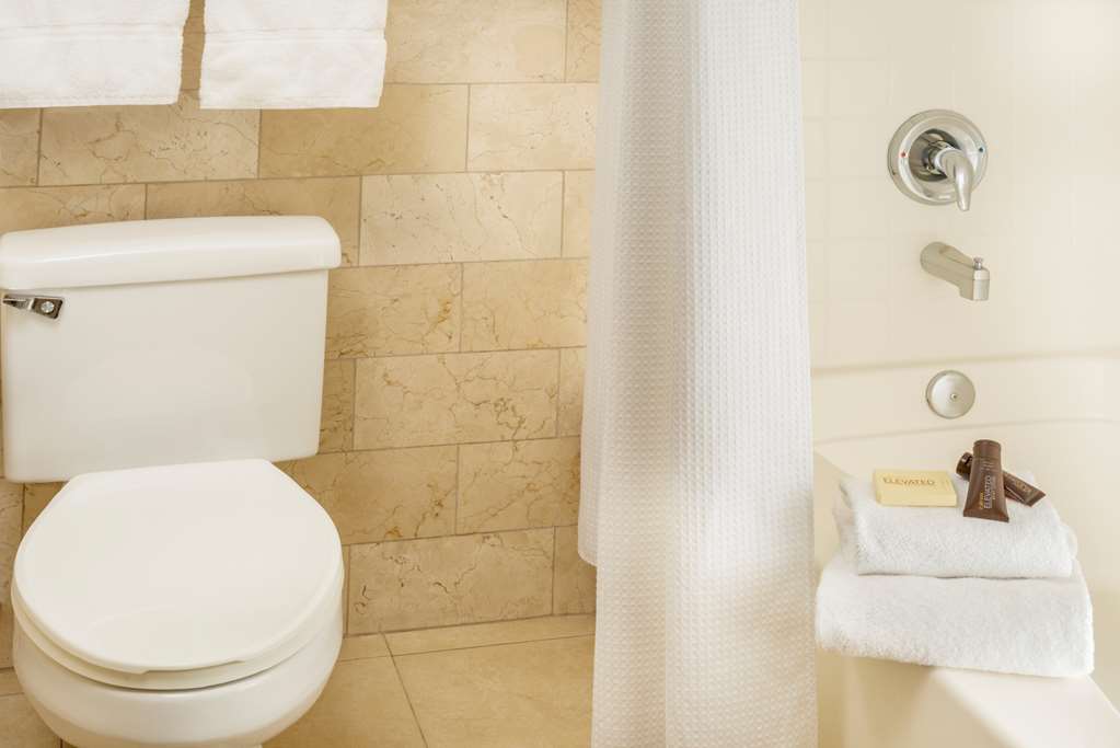 Ayres Hotel Anaheim - thumb 9